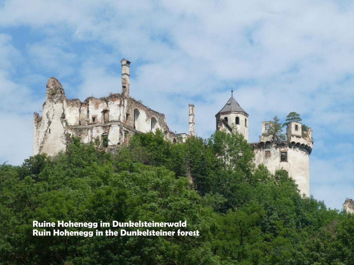 Ferienwohnung Gästehaus am Weinberg - Schlager Prinzersdorf Exterior foto